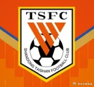 开云-0支出+负6分开局！山东泰山冬窗“躺平”，新赛季真能扛住吗？|阵容|中超|素材|球队|离队_新浪体育_新浪新闻